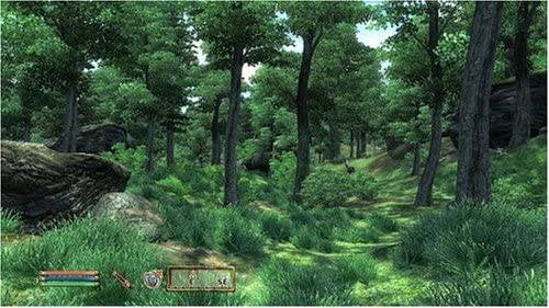 Elder Scrolls IV: Oblivion - PlayStation 3 King Gaming